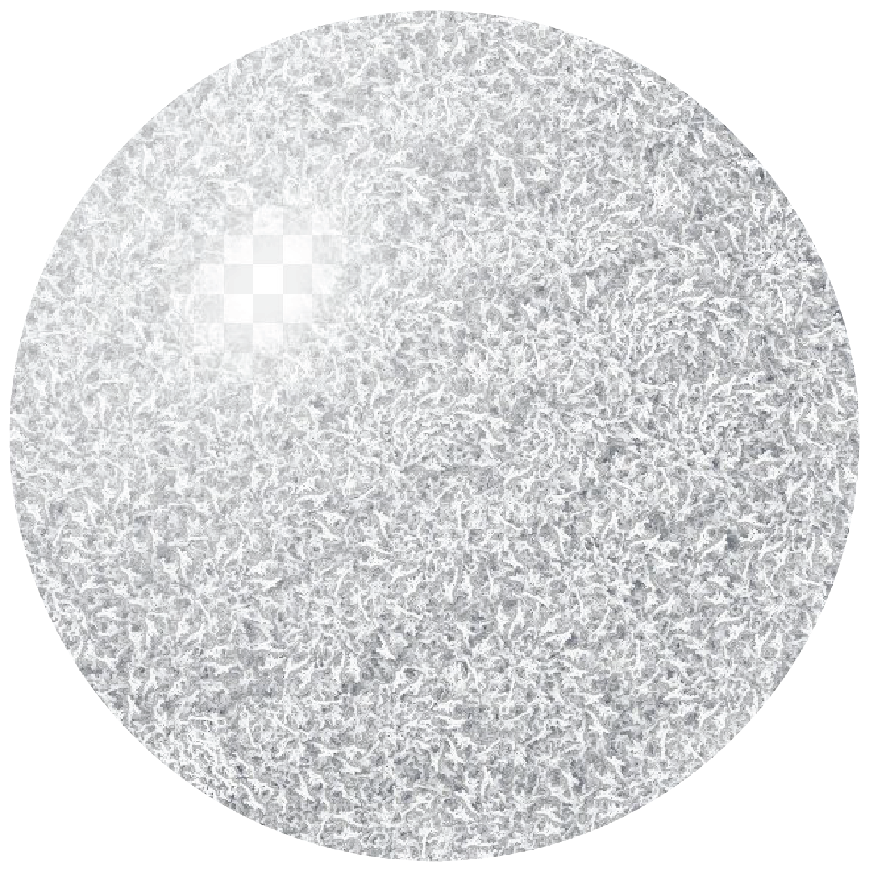 Frost