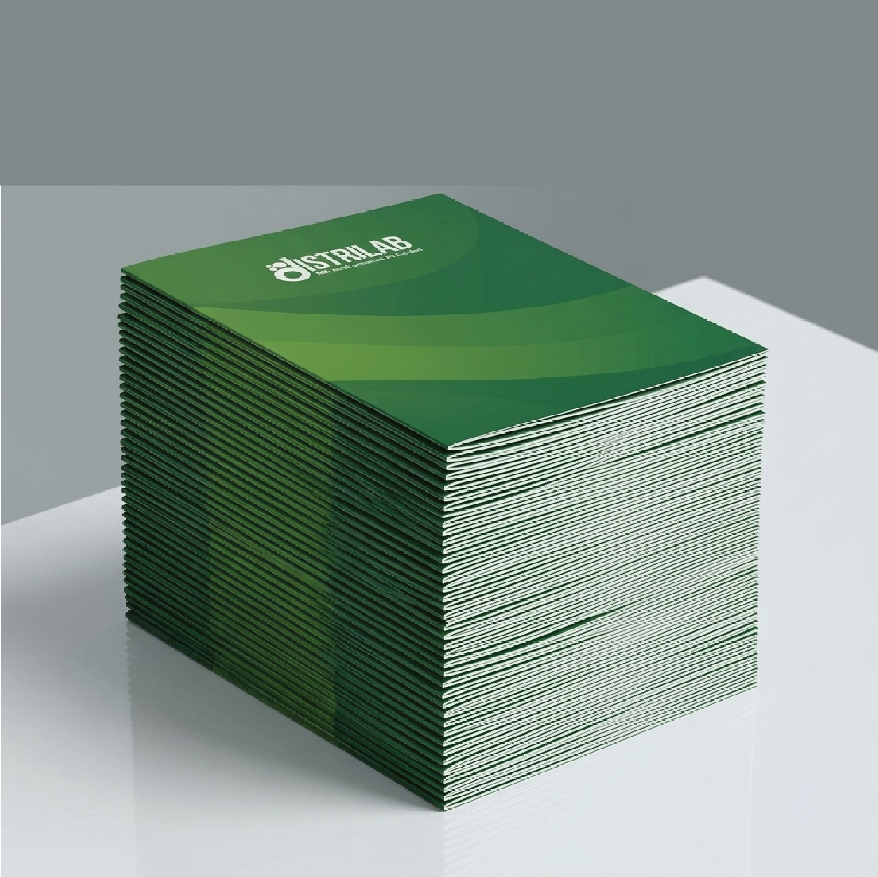 Branded Presentation Folder image 2